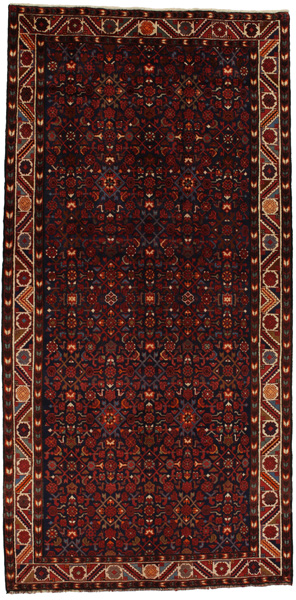 Hosseinabad - Hamadan Persian Rug 314x154