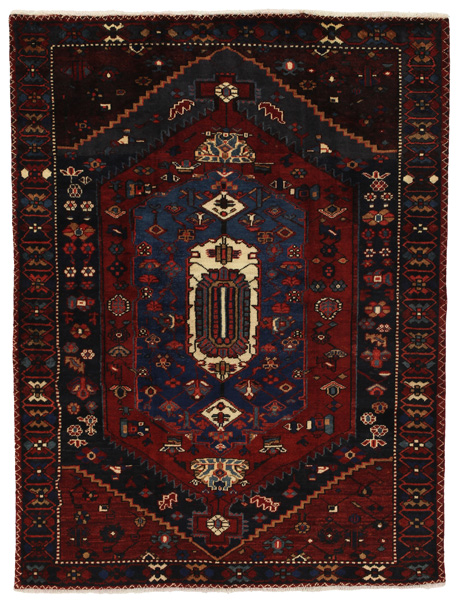 Zanjan - Hamadan Persian Rug 207x158