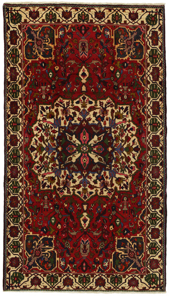 Bakhtiari Persian Rug 300x170