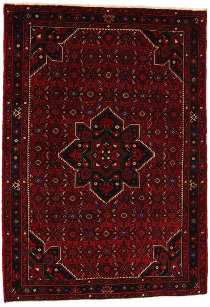 Borchalou - Hamadan Persian Rug 218x153