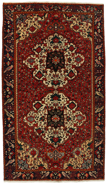 Bakhtiari Persian Rug 288x164