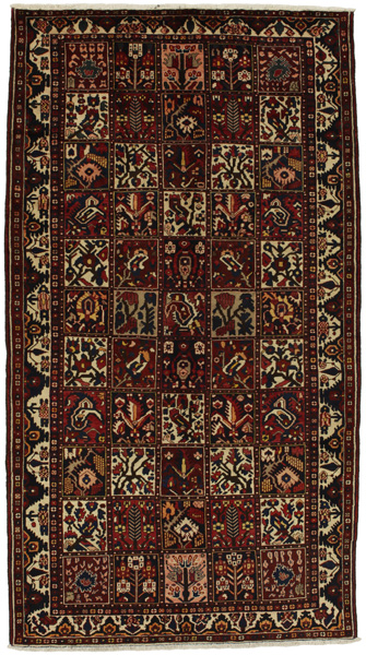 Bakhtiari Persian Rug 303x164