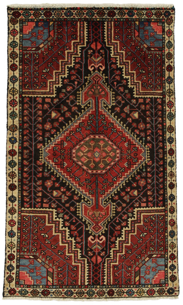 Tuyserkan - Hamadan Persian Rug 154x91