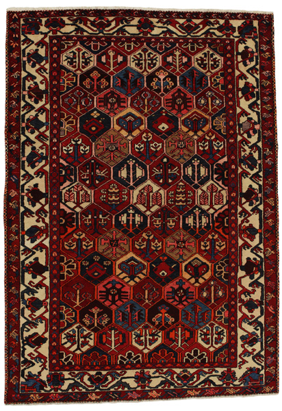 Bakhtiari Persian Rug 306x215
