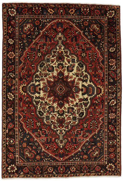Bakhtiari Persian Rug 309x211