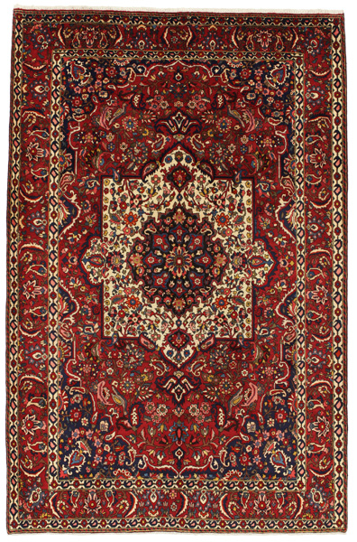 Bakhtiari Persian Rug 318x206