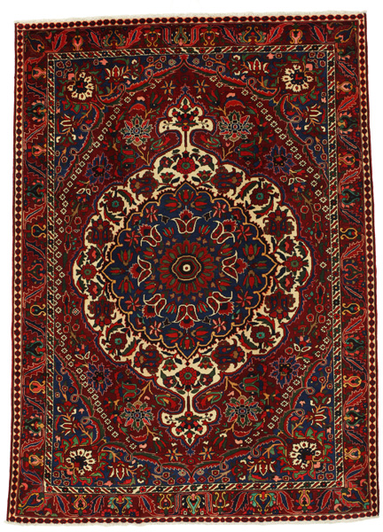 Bakhtiari Persian Rug 313x224