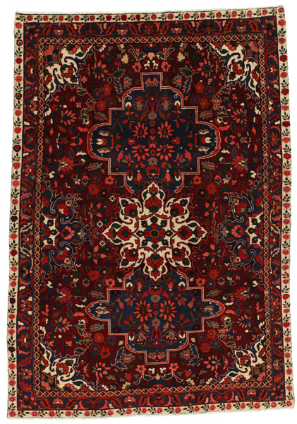 Bakhtiari Persian Rug 295x206