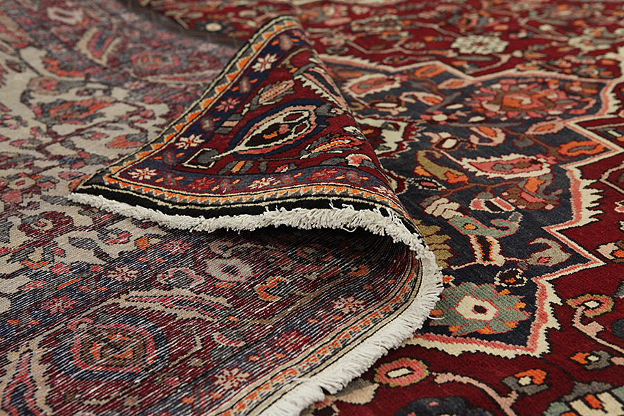Bakhtiari Persian Rug 308x208 - Picture 4