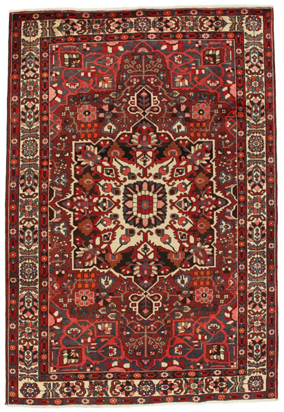 Bakhtiari Persian Rug 303x206