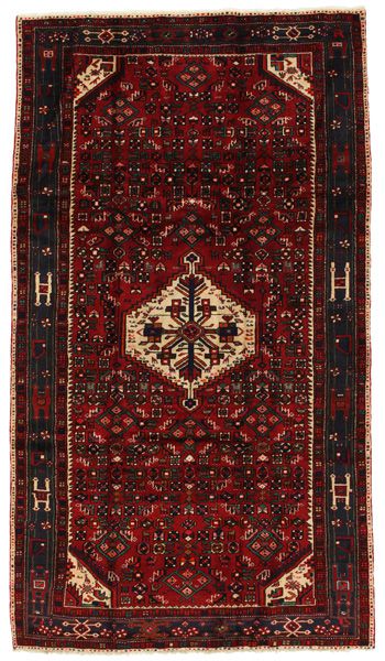 Borchalou - Hamadan Persian Rug 280x158