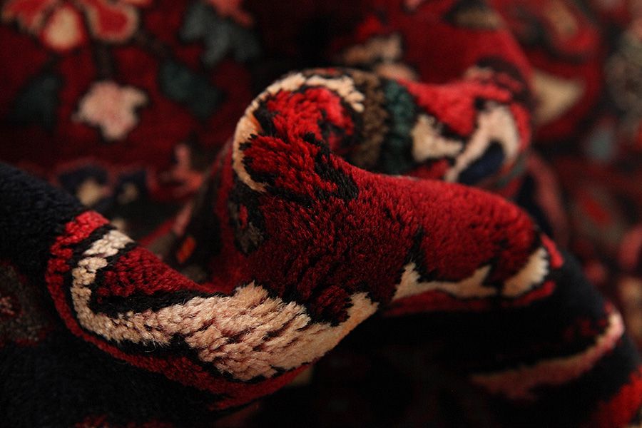 Bakhtiari Persian Rug 312x204 - Picture 6