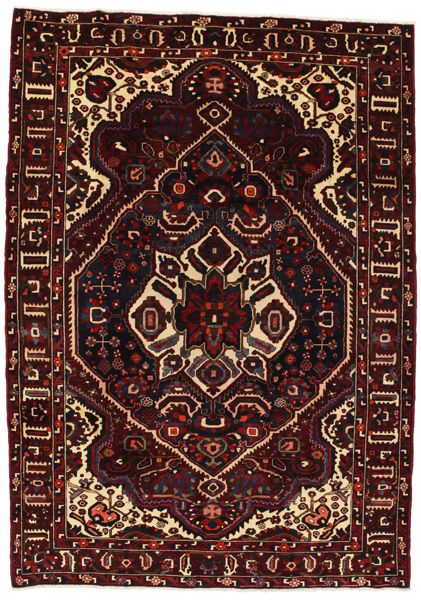 Bakhtiari Persian Rug 307x215