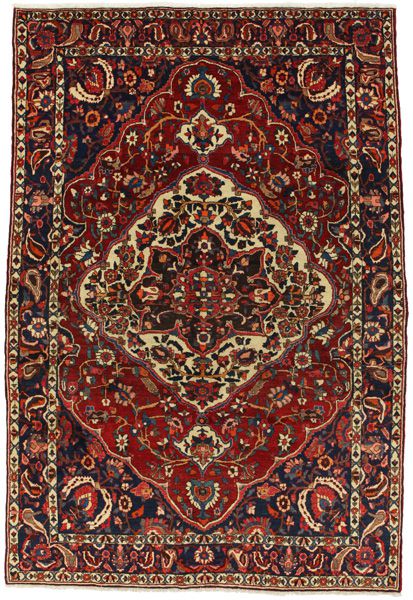 Bakhtiari Persian Rug 312x209