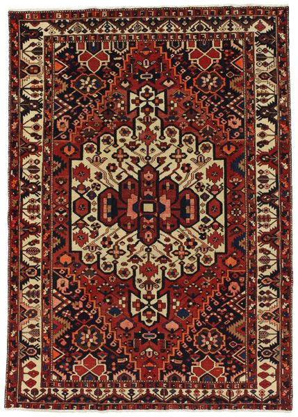 Bakhtiari Persian Rug 308x216