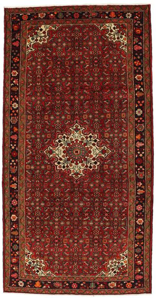 Borchalou - Hamadan Persian Rug 305x157