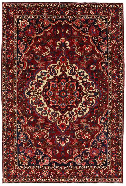 Bakhtiari Persian Rug 313x210