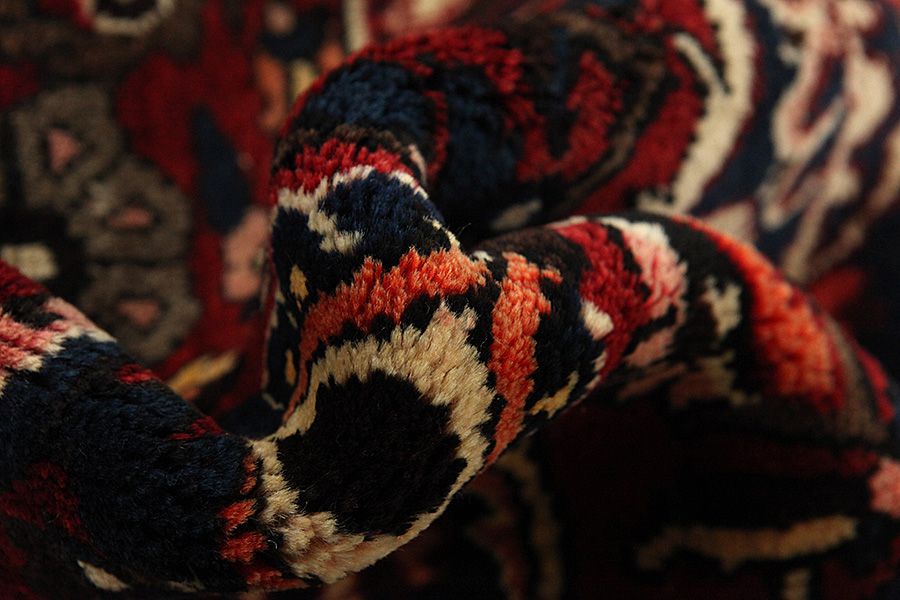 Bakhtiari Persian Rug 306x208 - Picture 6