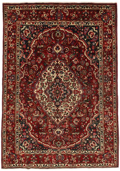 Bakhtiari Persian Rug 300x211