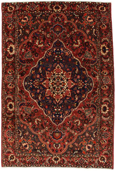 Bakhtiari Persian Rug 314x212