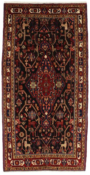 Nahavand - Hamadan Persian Rug 315x156