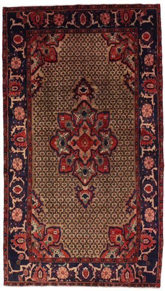 Songhor Persian Rug 273x152