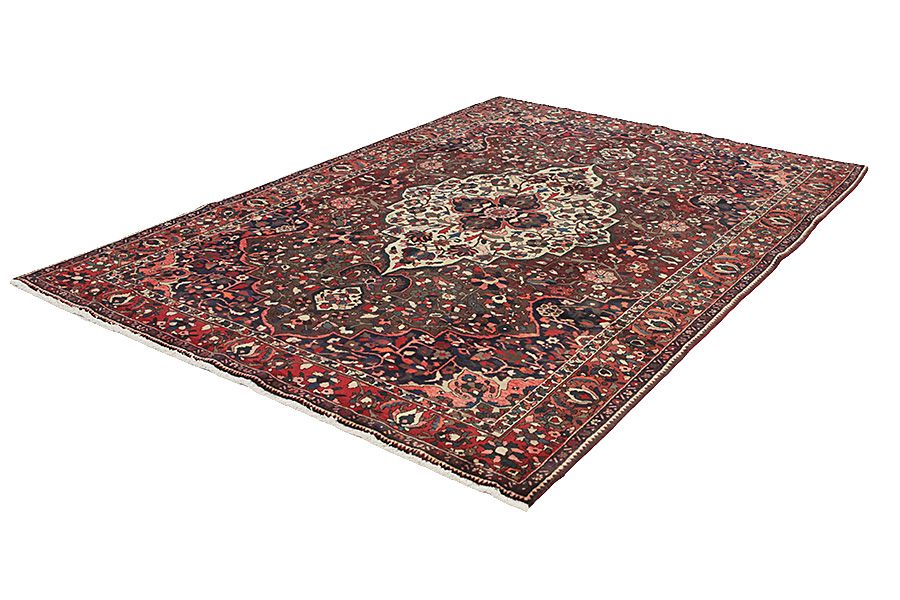Bakhtiari Persian Rug 315x212 - Picture 2