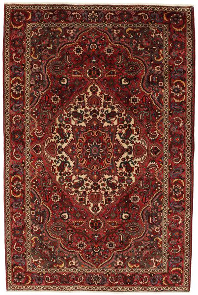 Bakhtiari Persian Rug 314x205