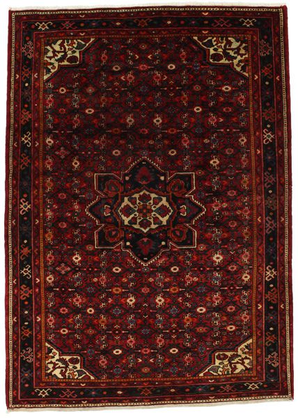 Borchalou - Hamadan Persian Rug 224x161