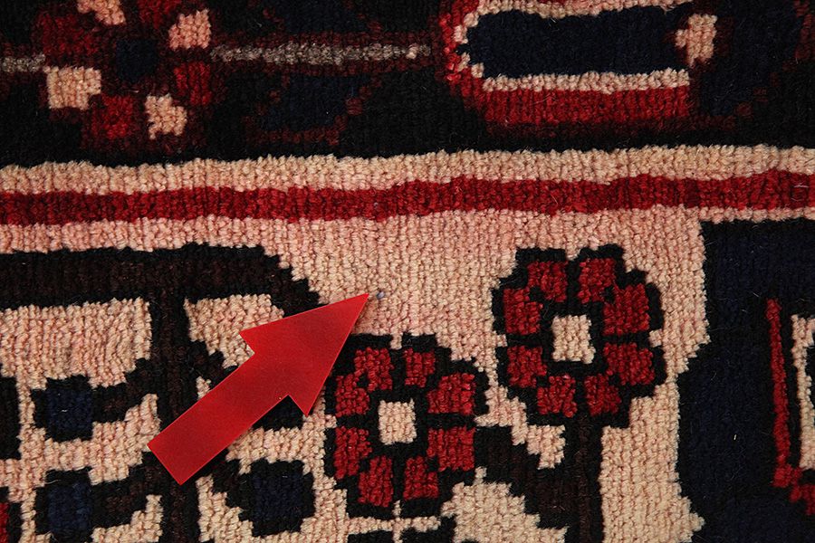 Bakhtiari - Garden Persian Rug 305x205 - Picture 8
