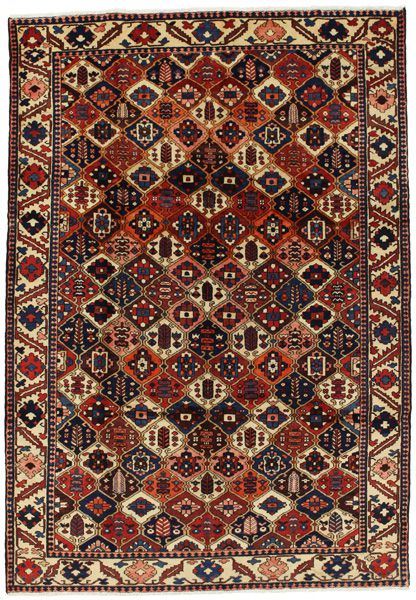 Bakhtiari Persian Rug 313x216