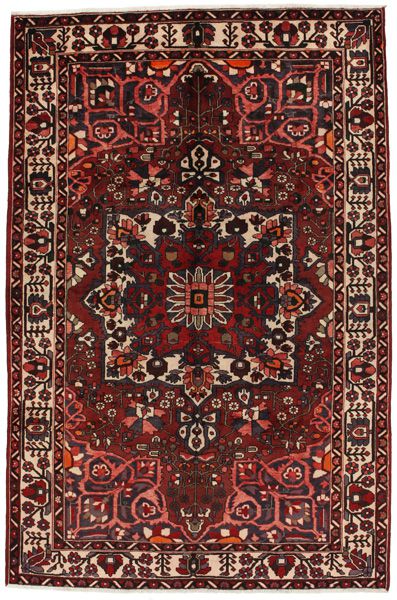 Bakhtiari Persian Rug 306x201