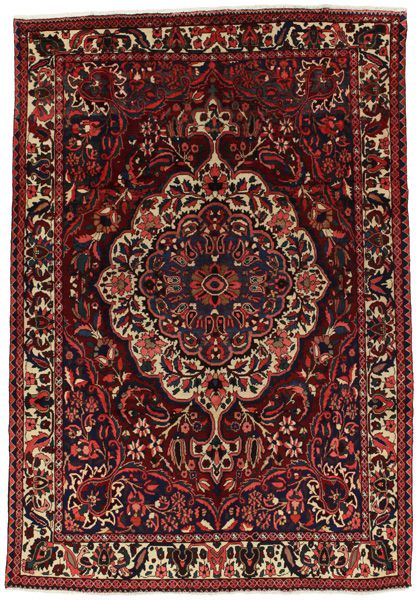 Bakhtiari Persian Rug 303x207
