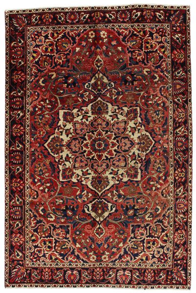 Bakhtiari Persian Rug 310x205