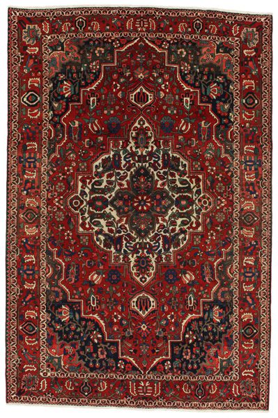 Bakhtiari Persian Rug 310x206