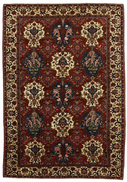 Bakhtiari Persian Rug 300x208