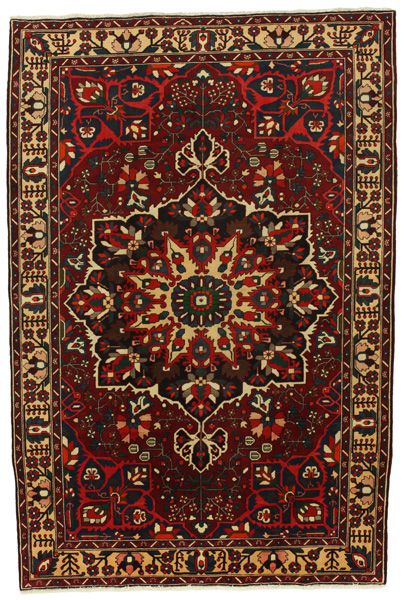 Bakhtiari Persian Rug 310x212