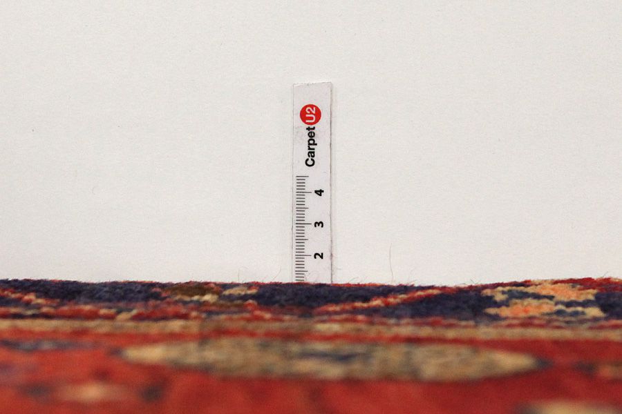 Lori - Bakhtiari Persian Rug 225x148 - Picture 7