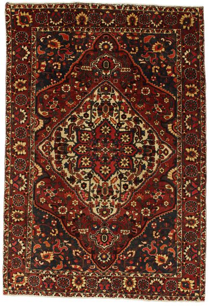 Bakhtiari Persian Rug 300x205