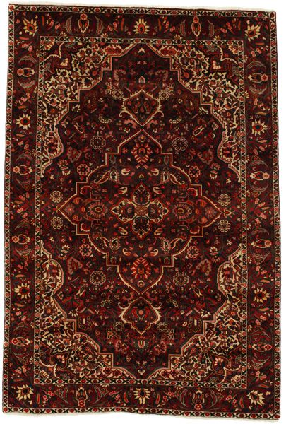 Bakhtiari Persian Rug 305x203