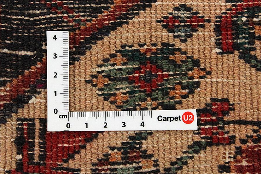 Bijar - Kurdi Persian Rug 308x146 - Picture 3