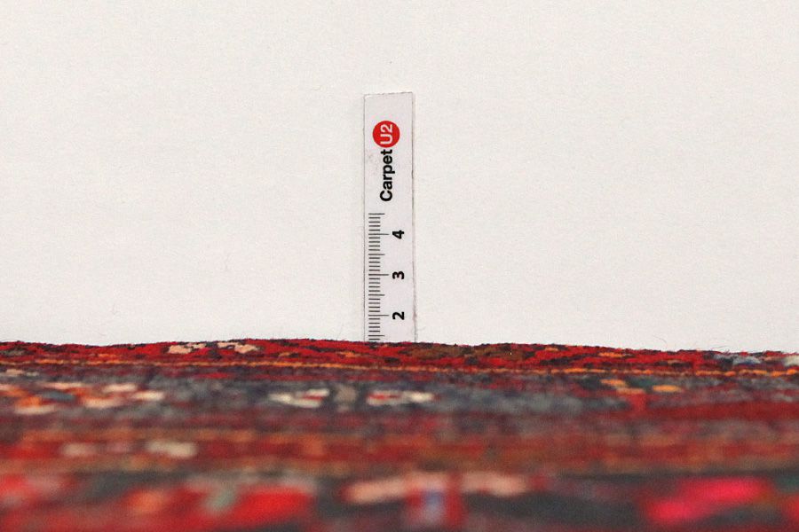 Bijar - Kurdi Persian Rug 308x146 - Picture 7