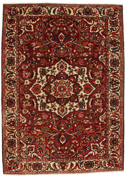 Bakhtiari Persian Rug 309x223