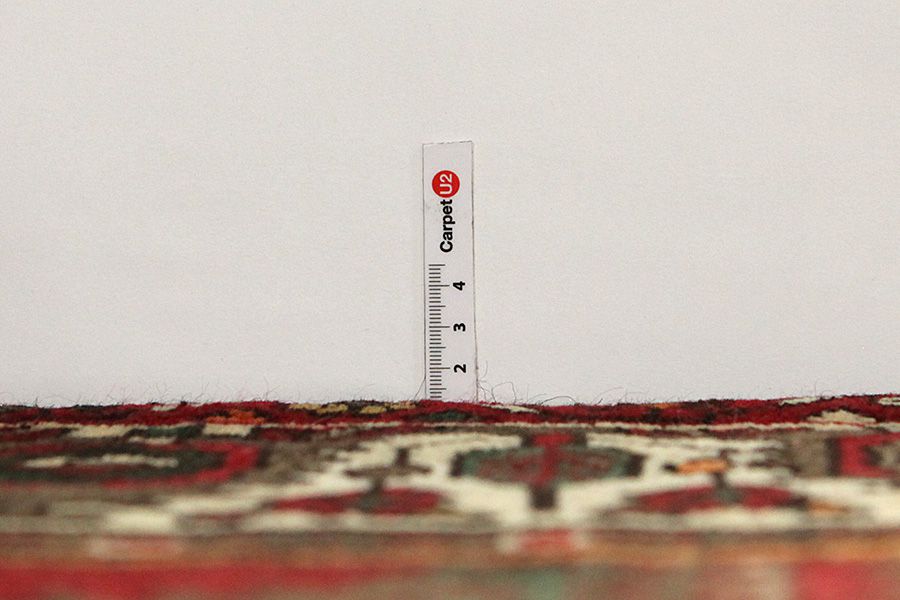 Bakhtiari - Garden Persian Rug 304x210 - Picture 7