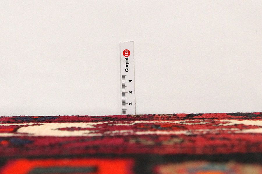 Tuyserkan - Hamadan Persian Rug 308x154 - Picture 7