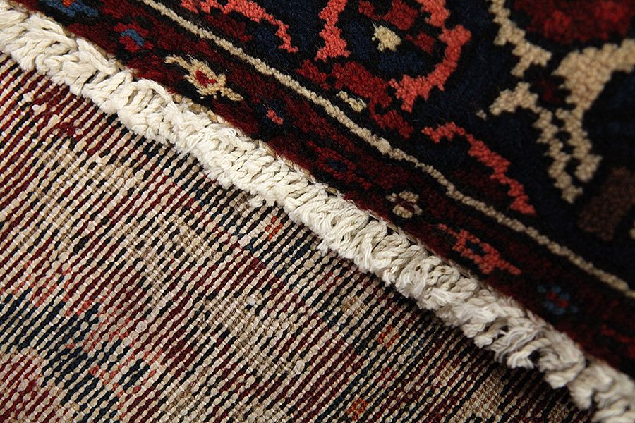 Bakhtiari - Garden Persian Rug 305x155 - Picture 5