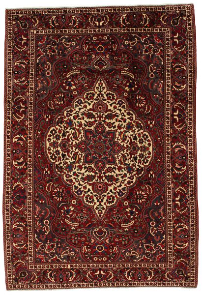 Bakhtiari Persian Rug 316x217