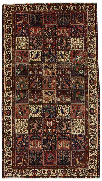Bakhtiari Persian Rug 317x175