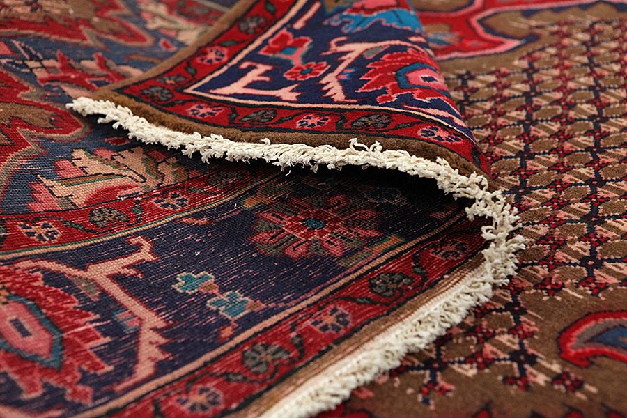 Songhor - Koliai Persian Rug 305x153 - Picture 4