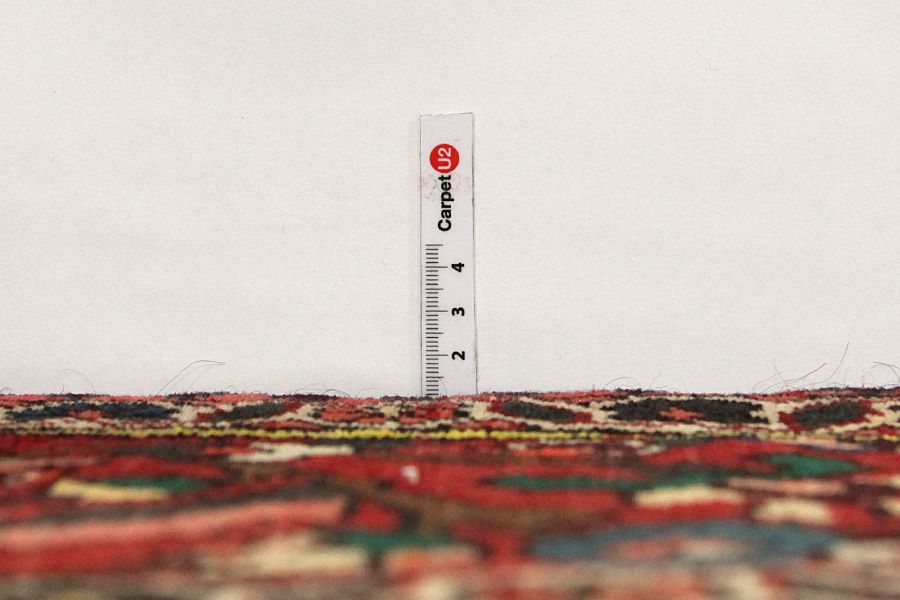 Bakhtiari Persian Rug 323x212 - Picture 7